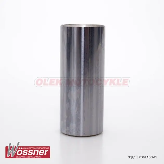 Cena promocyjna Sworzeń (14x10x38,5) Wossner WP058