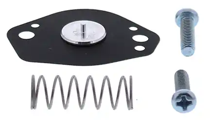 ALL BALLS ZESTAW NAPRAWCZY ZAWORU AIR CUT SUZUKI DRZ 125 03-17, YAMAHA XVS1100 V-STAR 99-09, YFM350 GRIZZLY 07-14, YFM400 BIG BEAR 00-12, YFM660R RAPT Ostatnie sztuki
