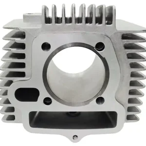 Tani Cylinder ATV EAGLE i Force