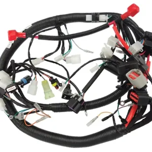 Wybór klientów Instalacja elektryczna Barton Classic 125 (Euro 5)