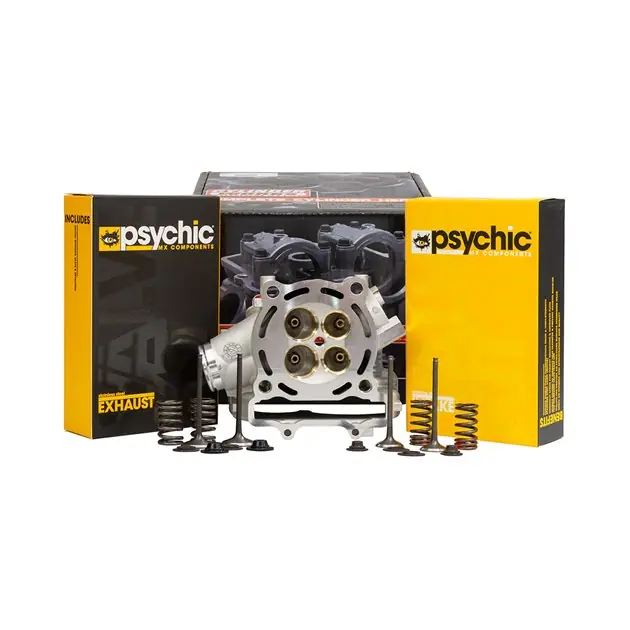 Oferta czasowa Głowica kompletna z zaworami i sprężynami Kawasaki KXF 250 Cylinder Works CH3001-K01KIT